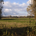 herfstlandschap005