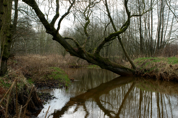 DSC_4628