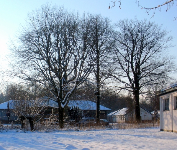 02-winter in 't leen 002
