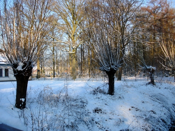 07-winter in 't leen 007