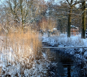 15-winter in 't leen 019