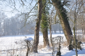 060