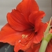 069