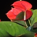 045