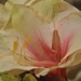 048