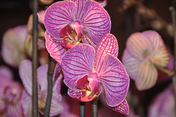 051