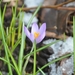 052