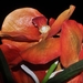 034