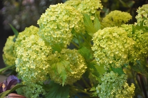 041