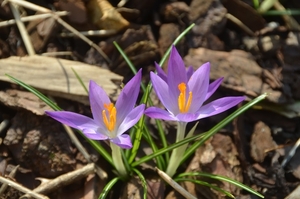 057