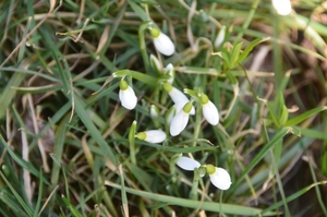 037