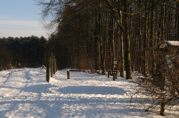 Hallerbos