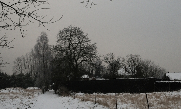 DSC_4129