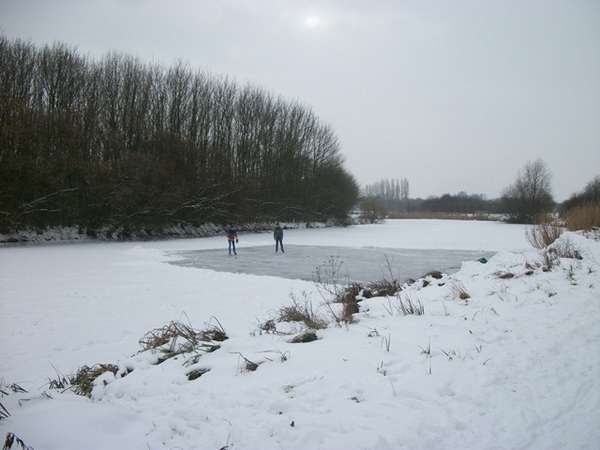 067-Oude Leiearmen van de Leie