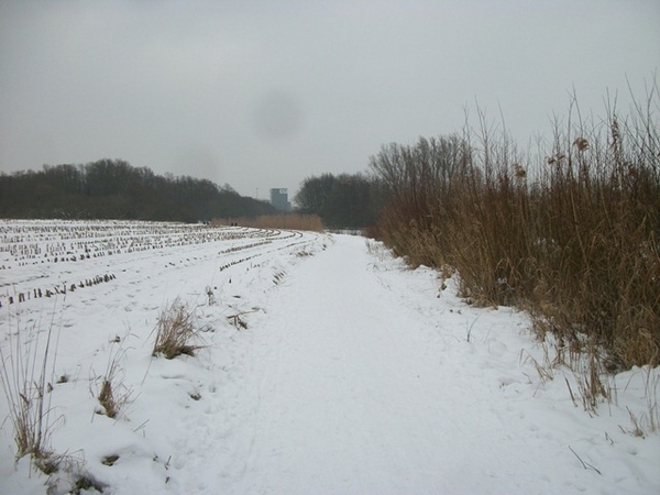 071-Wandelpad langs de Oude Leiearmen v.d.Leie