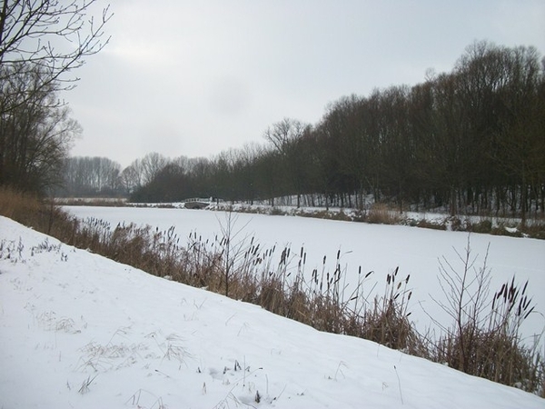 083-Oude Leiearmen langs de Leie