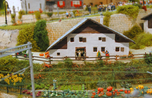 hoeve