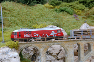 Albula loc