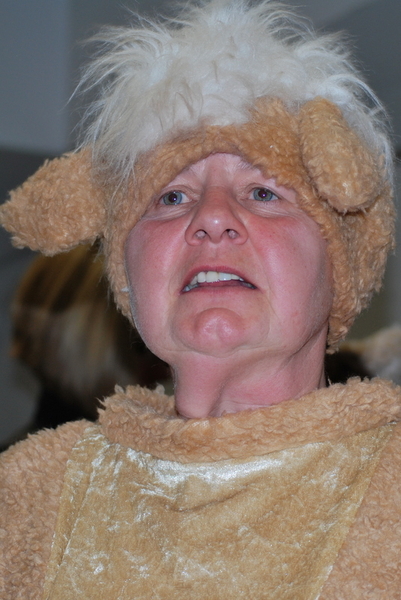 ledenvergadering  januari 2013 17