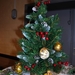 kerstfeest 2011 024