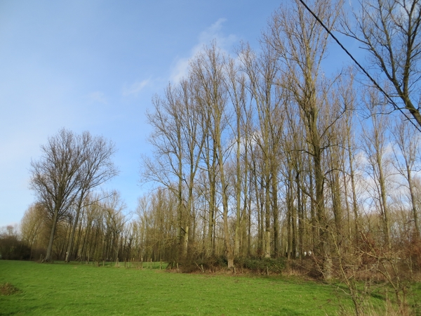 2013-01 28 Lierde 032