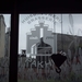 Uitstap Antwerpen 8.6.2012 006