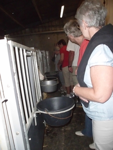 bezoek boerderij Blockeel 19.06.2012 004
