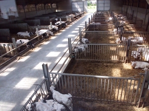 bezoek boerderij Blockeel 19.06.2012 017