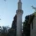 P1030355
