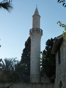P1030355
