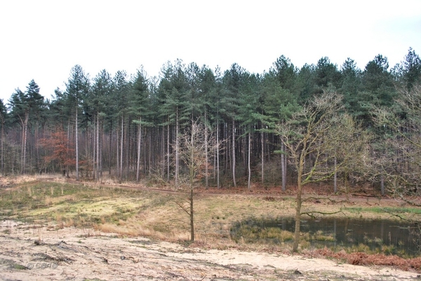 2012-01-08 JanMed Averbode  (125)