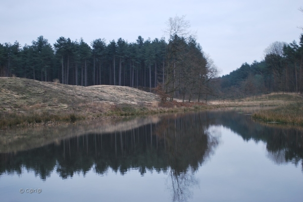 2012-01-08 JanMed Averbode  (133)