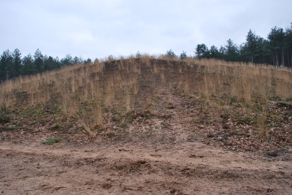 2012-01-08 JanMed Averbode  (137)