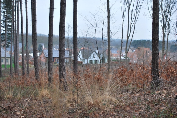 2012-01-08 JanMed Averbode  (175)