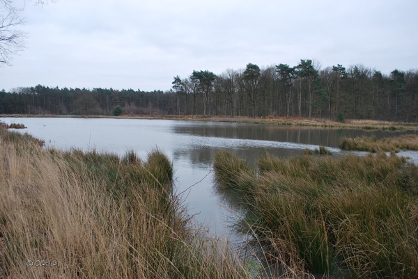 2012-01-08 JanMed Averbode  (86)