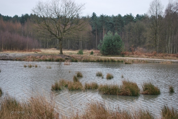 2012-01-08 JanMed Averbode  (92)