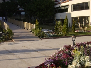 HPIM0709