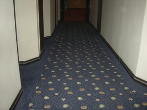 HPIM0777