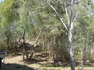 HPIM0792