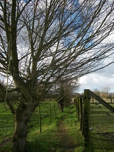 33-Naar Zonnegem....