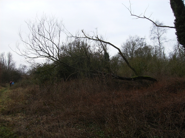 Hemiksem Februari 2013 016