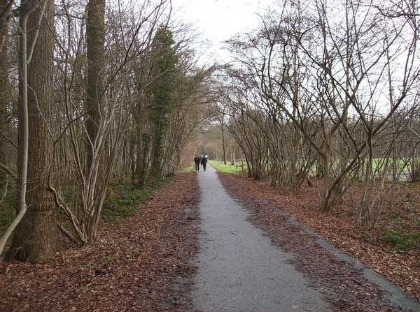 Hemiksem Februari 2013 018