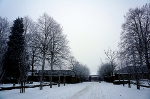 Sneeuwfoto\'s-2013