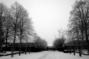 Sneeuwfoto\'s-2013