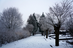 Sneeuwfoto\'s-2013