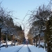 Sneeuwfoto\'s-2013