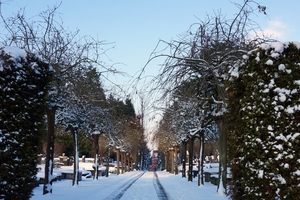 Sneeuwfoto\'s-2013