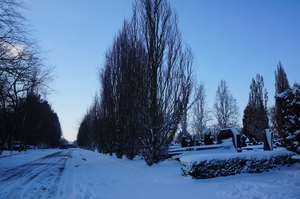 Sneeuwfoto\'s-2013