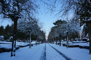 Sneeuwfoto\'s-2013