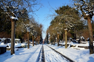 Sneeuwfoto\'s-2013